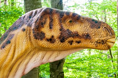 Excursie 1 Iunie la Dino Parc si Muzeul Ceasului de la Ploiesti