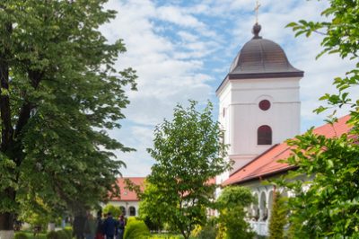 Excursie 1 zi Campina (Hasdeu - Grigorescu) - Brebu - Salina Slanic Prahova Autocar | 2025