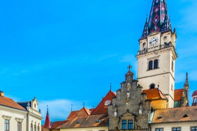 Excursie 1 zi Valea Zimbrilor - Prejmer - Brasov Autocar | 2025