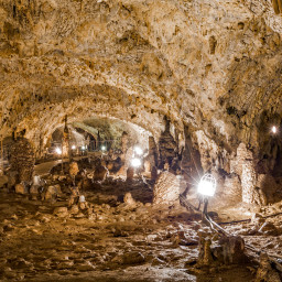 Excursie o zi Castelul Vrajitoarelor – Satul Rasturnat – Padurea Colorata – Pestera Muierilor Autocar  2026