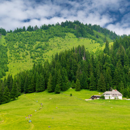 Excursie O Zi, Cinci Comori Prahova Culturala Autocar  2026