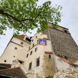 Excursie 1 zi la Bran – Festivalul Branzei si „Ravasitul Oilor”  2026