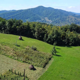 Excursie o zi Sarbatoarea Tuberozelor – Hoghilag Autocar  2026