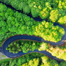 Vacanta 1 zi Transfăgărășan Autocar  2026