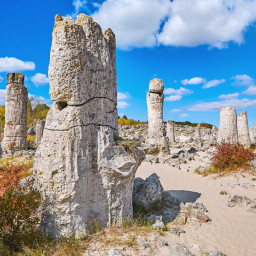Excursie o zi Varna Autocar  2026