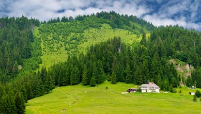 Excursie O Zi, Cinci Comori Prahova Culturala Autocar  2026