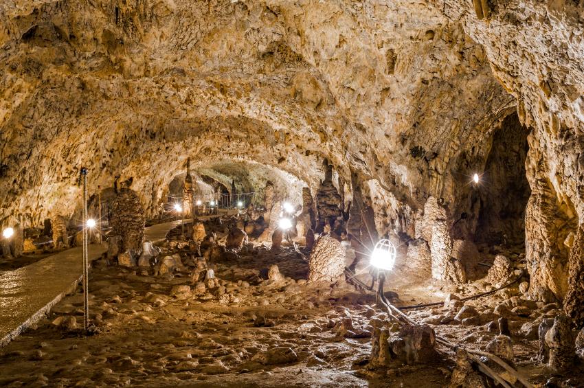 Excursie o zi Castelul Vrajitoarelor – Satul Rasturnat – Padurea Colorata – Pestera Muierilor Autocar  2026